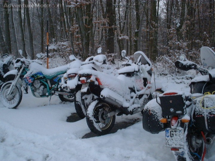 ElefantenTreffen 2001, Morning Surprise @ ElefantenTreffen 2001