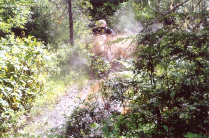 Black Dog Dual Sport Creek Crossing, Crossing a muddy creek during the '2000 Black Dog Dual Sport.