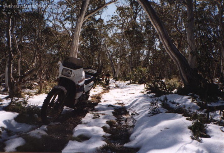 Misery trail, Kosciousko Nt park, IN SUMMER,