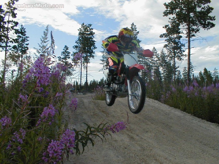 Kim in action - Kim in action