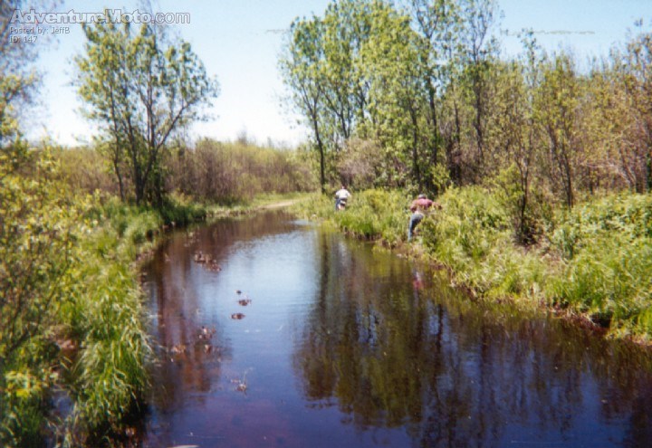 After the rains... - Sometimes it is easier to take the high ground!