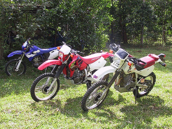 Ready for the tip trip