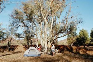 Camping in the creek bed - Beautiful flinders ranges, tranquil camping.