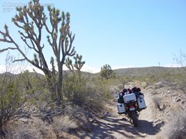 Joshua Tree - Some great trails on the west side of the California Nevada b...