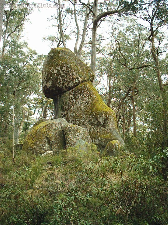 "The Rock" or as locals know it "Cock Rock" - Words fail me.