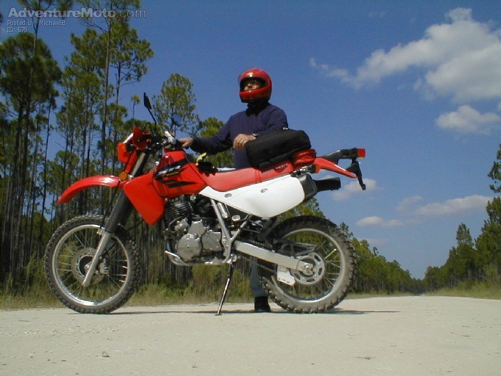 Take a Breather - I took this while traversing the Apilachicola National Forest in Florida on the XRL first solo trip