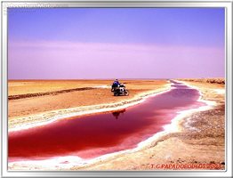 Trip to Tunisia - Chott El Jerid - The salt lake