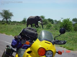 AT and Jumbo - On the road between Nata and Kasane in Botswana.