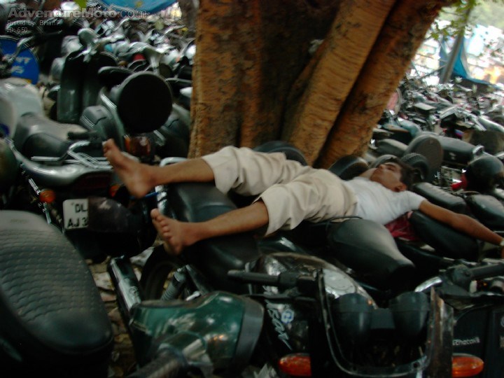Hard at work guarding motorcycles - Glad my bike is being looked after.