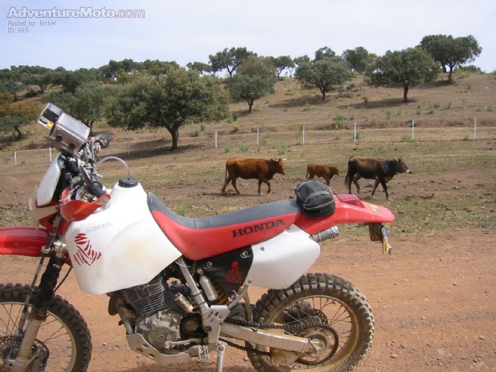 Off-roading with MSA-Holland